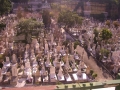 cimg0217