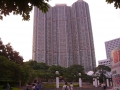 cimg0324