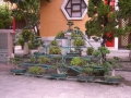 cimg0469